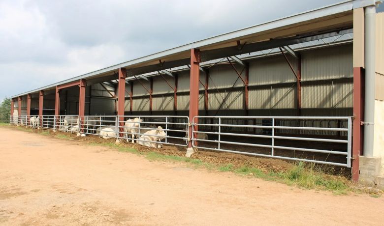 Bâtiment d'élevage Triangle Énergie avec panneaux solaires