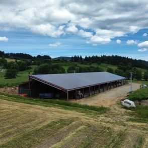 Hangar photovoltaïque pour un agriculteur dans la Loire