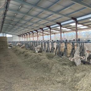 Comprendre la stabulation photovoltaïque