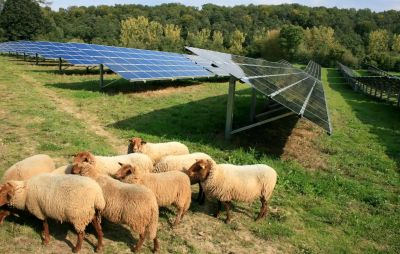 réalisation vue du ciel d'une ombrienne de sol pour champ de Sol'R du Groupe le Triangle