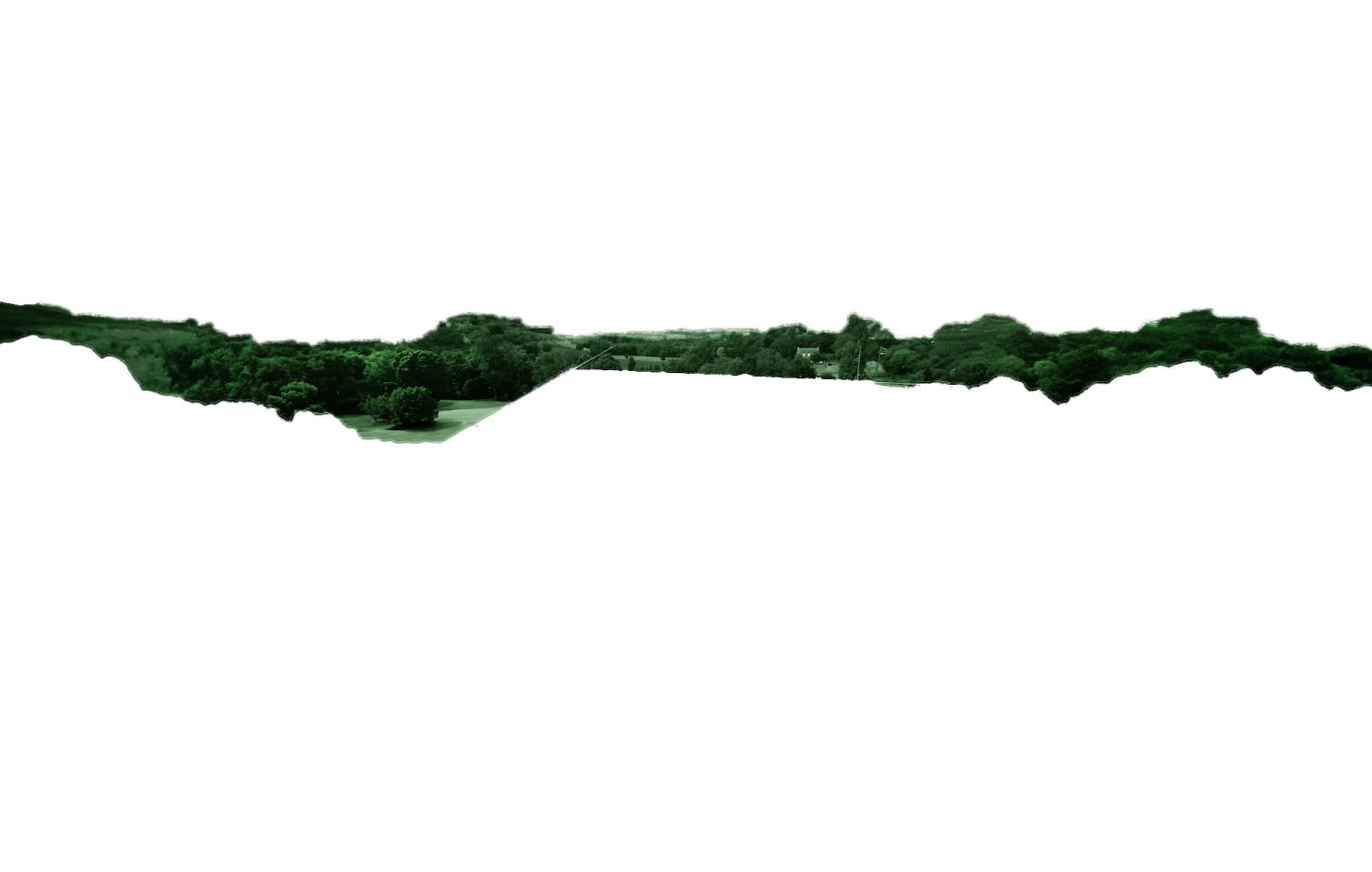 Decoupage d'un paysage de verdure