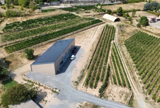 Photo aérienne d'un beau hangar agricole solaire Triangle Énergie au milieu des vignes