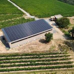Hangar photovoltaïque de stockage pour un viticulteur